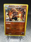 Team Magma's Camerupt