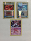 Team Magma's Camerupt