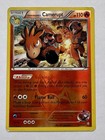 Team Magma's Camerupt