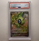Celebi V