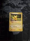 Ditto