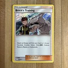 Brock's Training