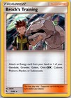Brock's Training