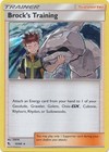 Brock's Training