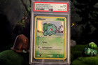 Bulbasaur and the Hidden Village
