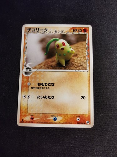 Chikorita