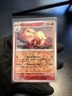 Arcanine