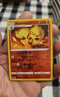 Arcanine