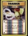 Pidgeot Spirit Link