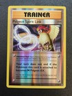Pidgeot Spirit Link
