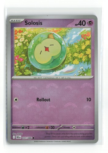 Solosis