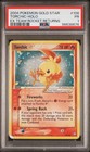 Torchic