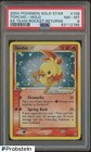 Torchic