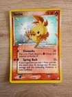 Torchic