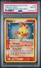 Torchic