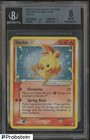 Torchic