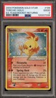 Torchic