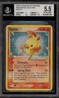 Torchic