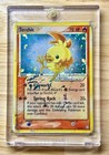 Torchic