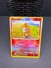 Chimchar