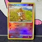 Chimchar
