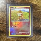 Chimchar