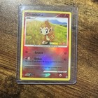 Chimchar