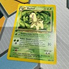 Bayleef