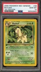 Bayleef
