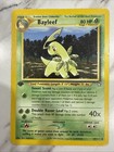 Bayleef
