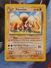 Piloswine
