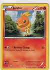 Torchic