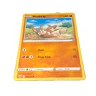Mudbray