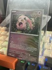 Pachirisu