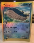 Wailord