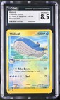 Wailord