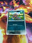Paldean Wooper