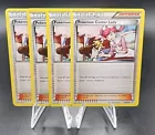 Pokemon Center Lady