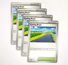 Cycling Road