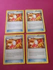 Trainer's Mail