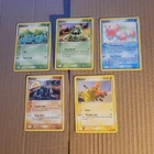 Pokemon Park