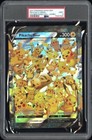 Pikachu V Union