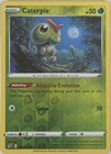 Caterpie