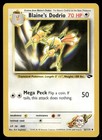 Blaine's Dodrio