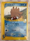 Pryce's Piloswine