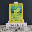 Chikorita