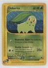 Chikorita