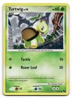 Turtwig
