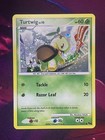 Turtwig