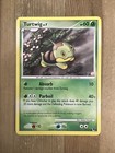 Turtwig
